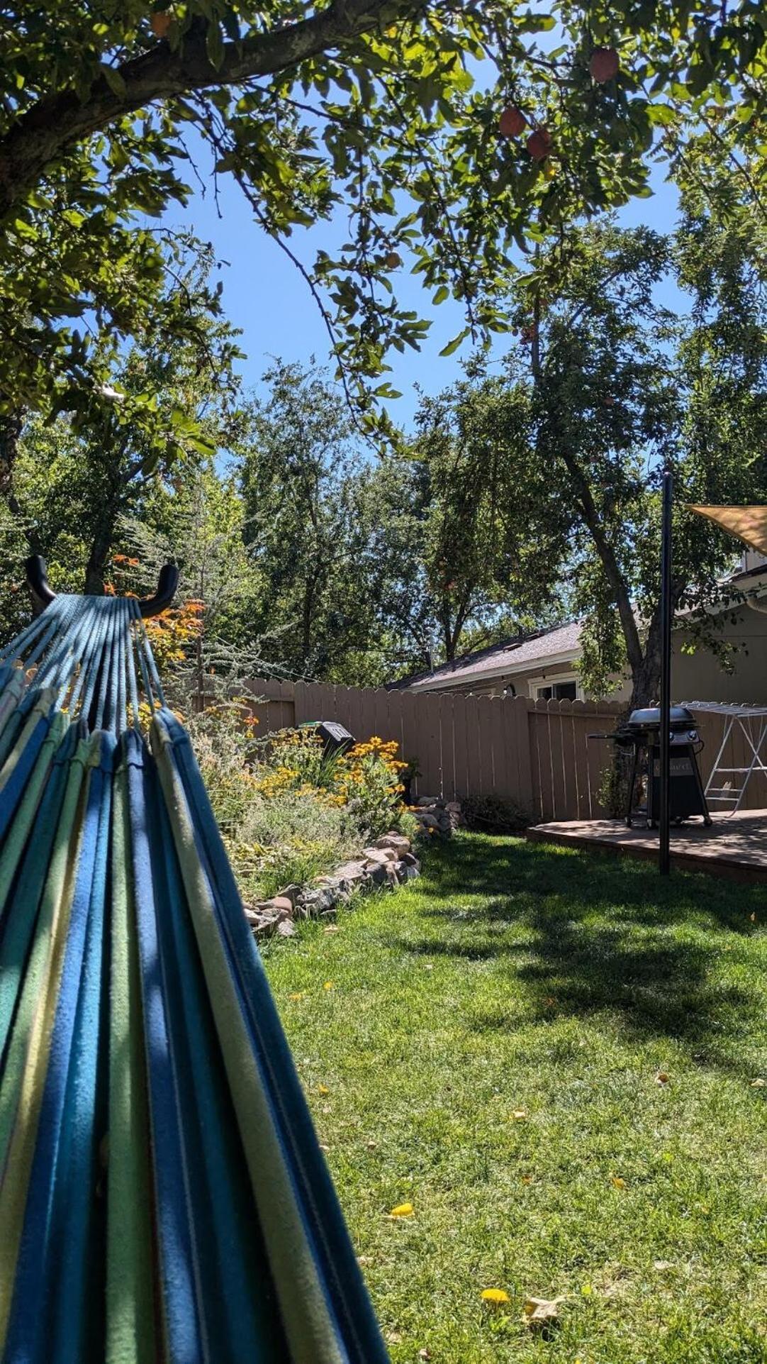 The Midtown Reno Orchard Villa Exterior foto